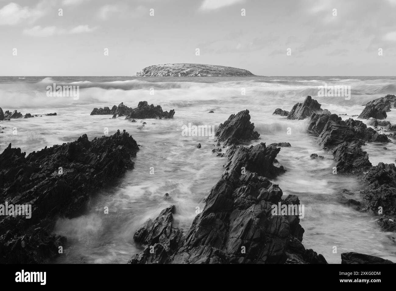 Petrel Cove B&W. Banque D'Images