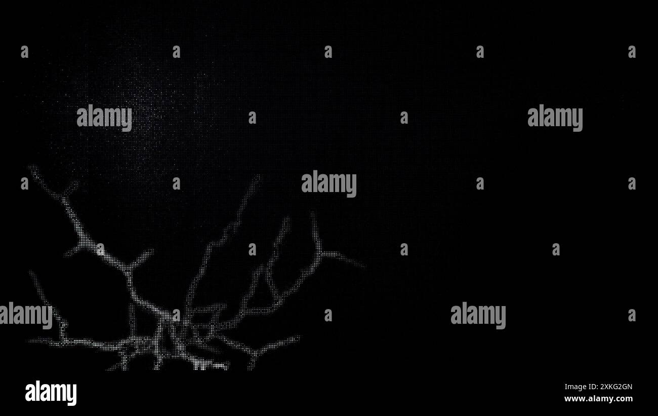 Pixels morts à l'écran. Les pépins numériques endommagent le signal vidéo par des pixels morts. Fissure sur un grand moniteur noir. Banque D'Images