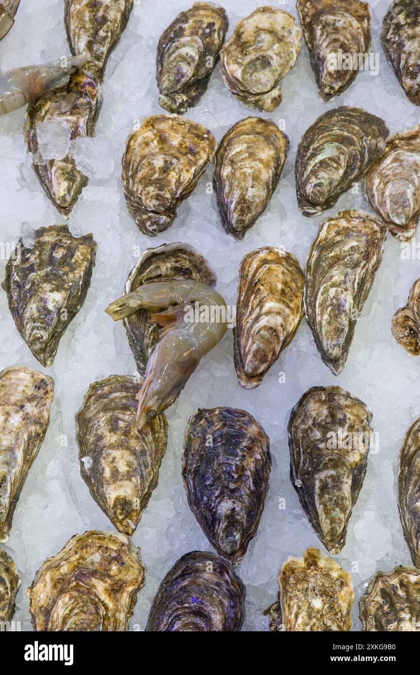 Moules et crustacés au marché aux poissons du Mercado Nuestro Senora de Africa, îles Canaries, Tenerife, Santa Cruz de Tenerife Banque D'Images