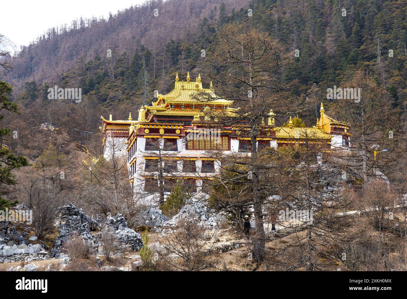 Le monastère de Chonggu se trouve dans le parc de Yading et est situé au pied du mont Xiannairi. C'est une destination touristique populaire. Banque D'Images