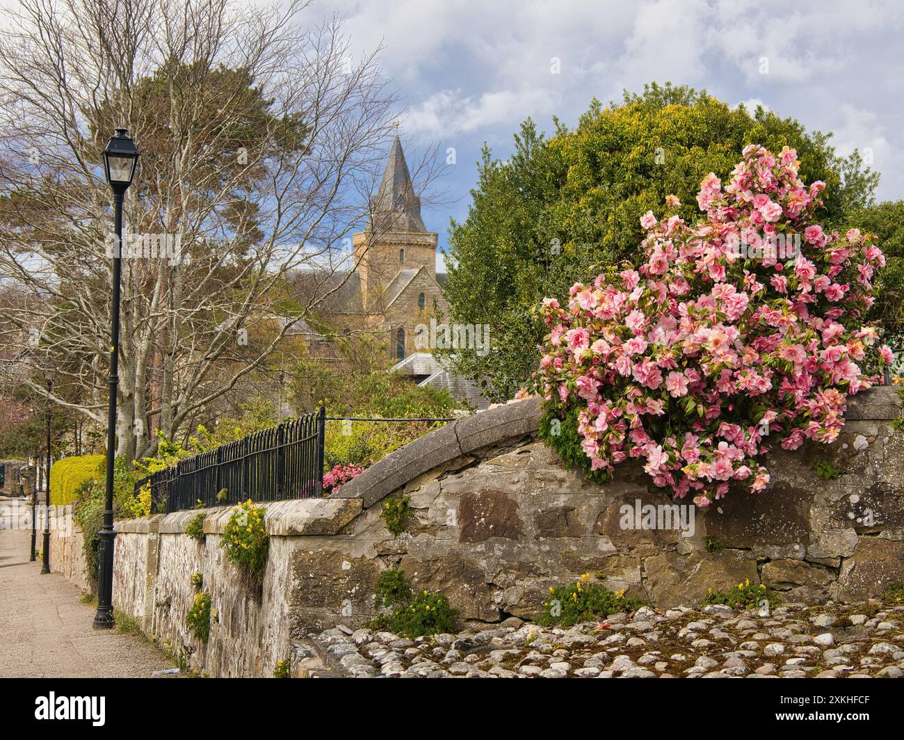 Un aperçu de la flèche de la cathédrale de Dornoch vue dans l'une des rues typiques pittoresques de la ville encadrées de fleurs aux couleurs magnifiques. Banque D'Images