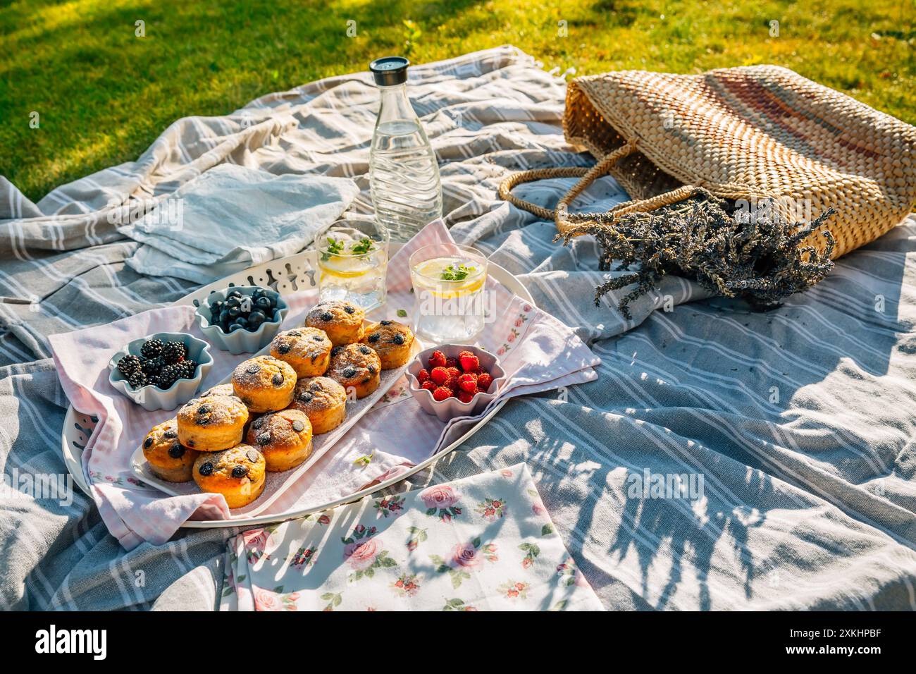 Pique-niquez dans un parc avec muffins maison, limonade et baies Banque D'Images