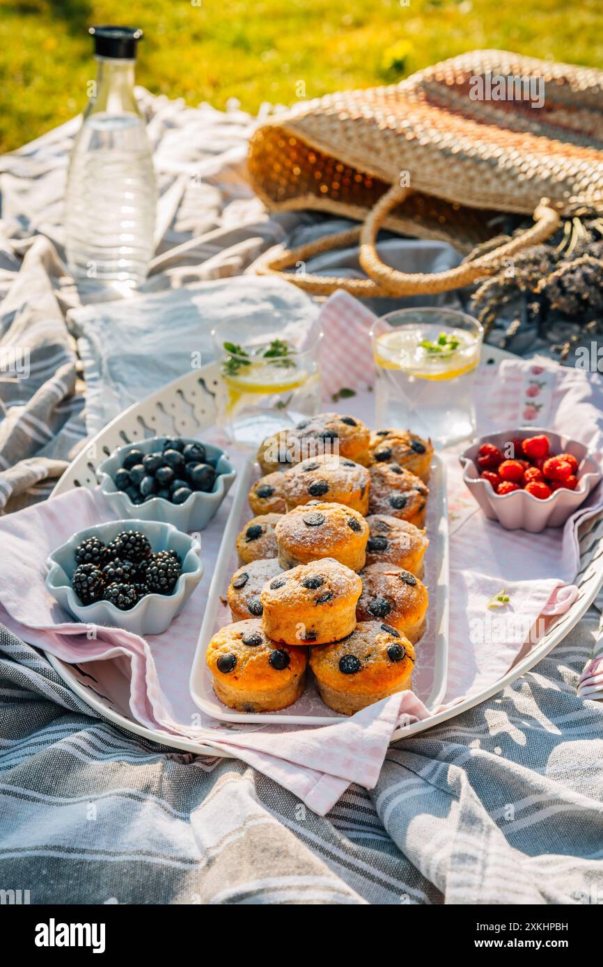 Pique-niquez dans un parc avec muffins maison, limonade et baies Banque D'Images