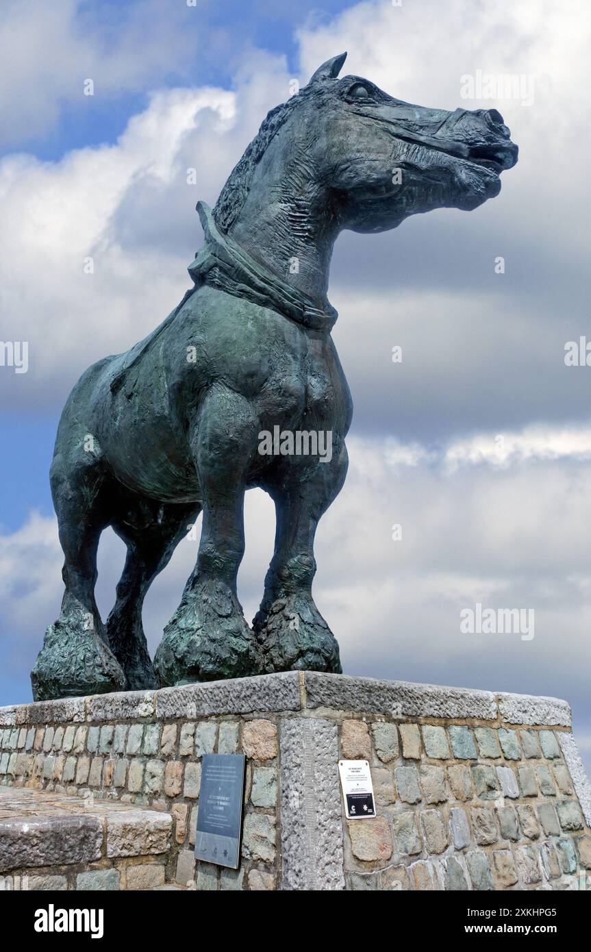 Prins, statue en bronze du cheval de trait du Brabant par le sculpteur belge Koenraad Tinel au marché de Sint-Kwintens-Lennik, Brabant flamand, Belgique Banque D'Images