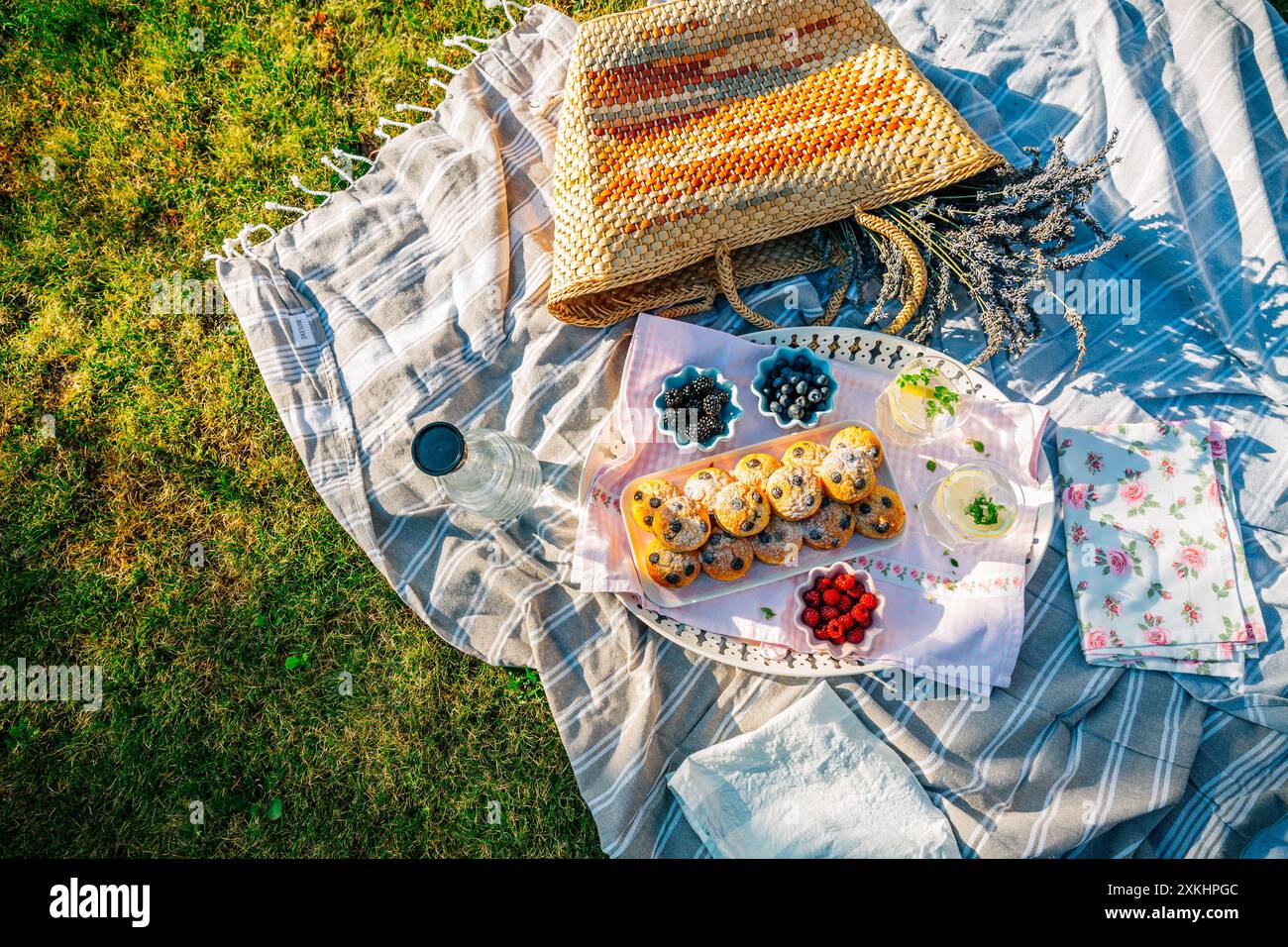 Pique-niquez dans un parc avec muffins maison, limonade et baies Banque D'Images