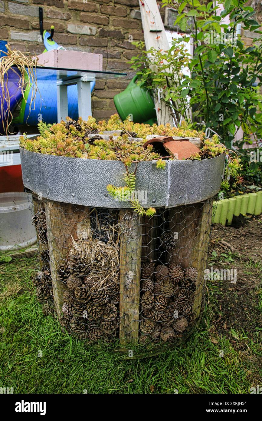 Grand Insect House construit à la main contenant des pommes de pin, vieux bois, Sedum et éclats de pots en terre cuite Banque D'Images