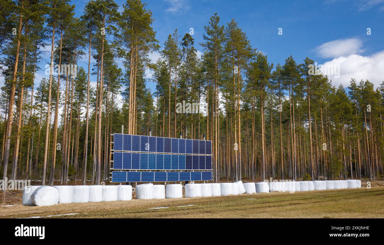 Panneaux solaires et balles d'alimentation du bétail enveloppées dans du plastique à la lisière de la forêt, Finlande Banque D'Images