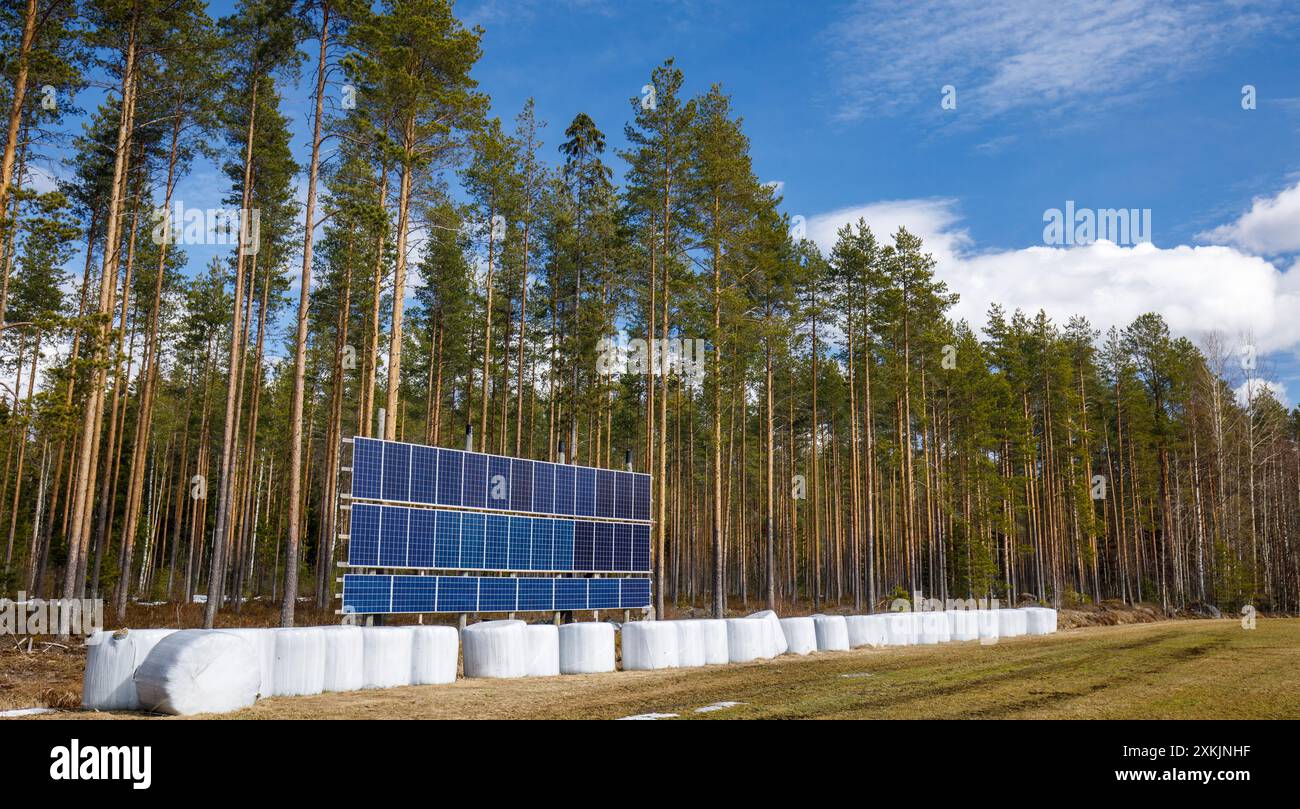 Panneaux solaires et balles d'alimentation du bétail enveloppées dans du plastique à la lisière de la forêt, Finlande Banque D'Images