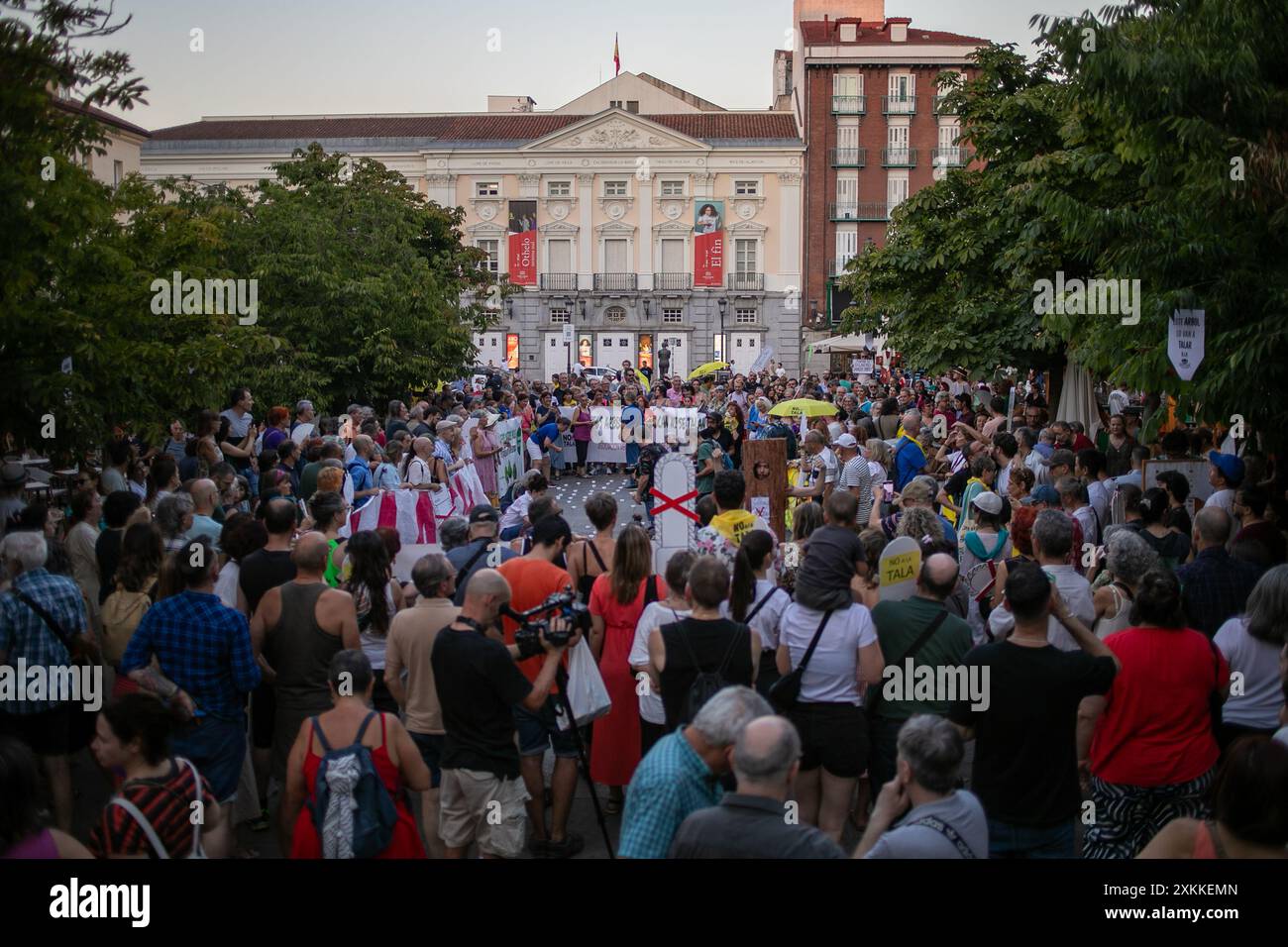 Madrid, Espagne. 23 juillet 2024. Les habitants de Madrid se sont rassemblés cet après-midi sur la Plaza Santa pour protester contre la décision prise par le conseil municipal de Madrid d'abattre plus d'une douzaine d'arbres situés sur la place centrale de Madrid. Crédit : D. Canales Carvajal/Alamy Live News Banque D'Images