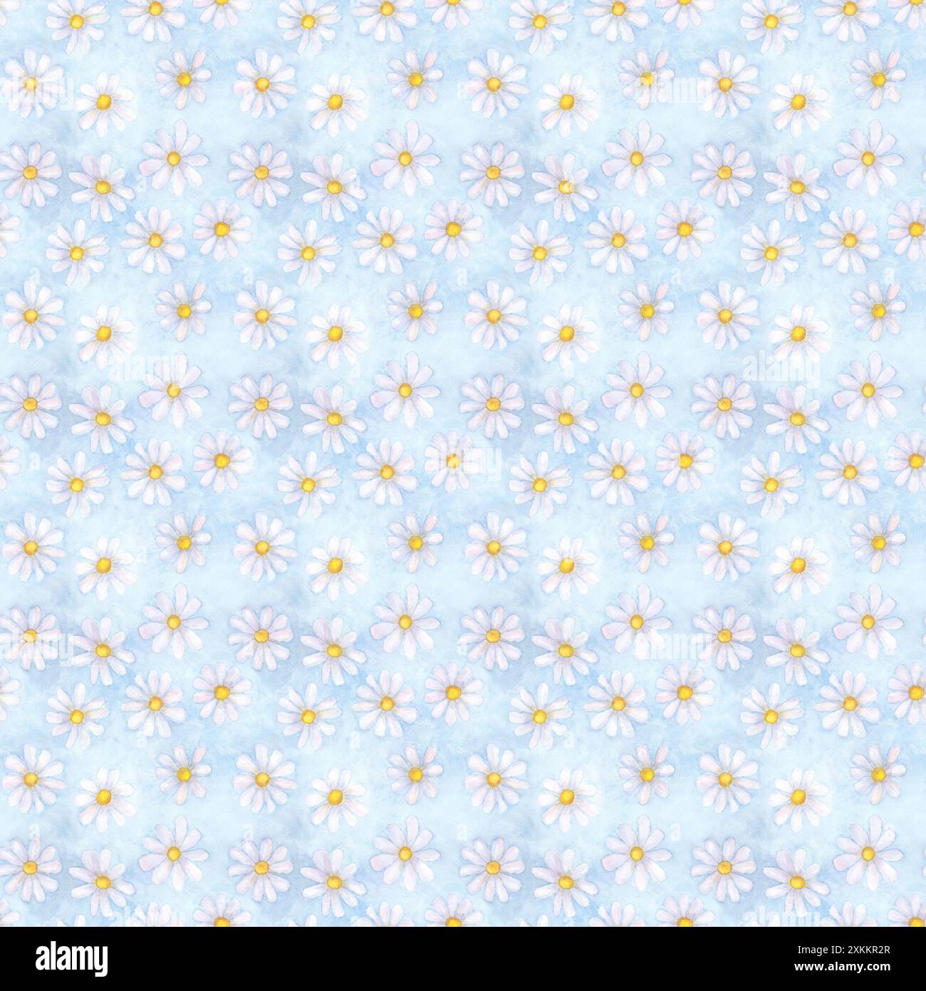 Fleurs de camomille aquarelle. Beau motif floral sans couture. Aquarelle dessinée à la main printemps été illustration botanique sur fond bleu. Imprimer Banque D'Images