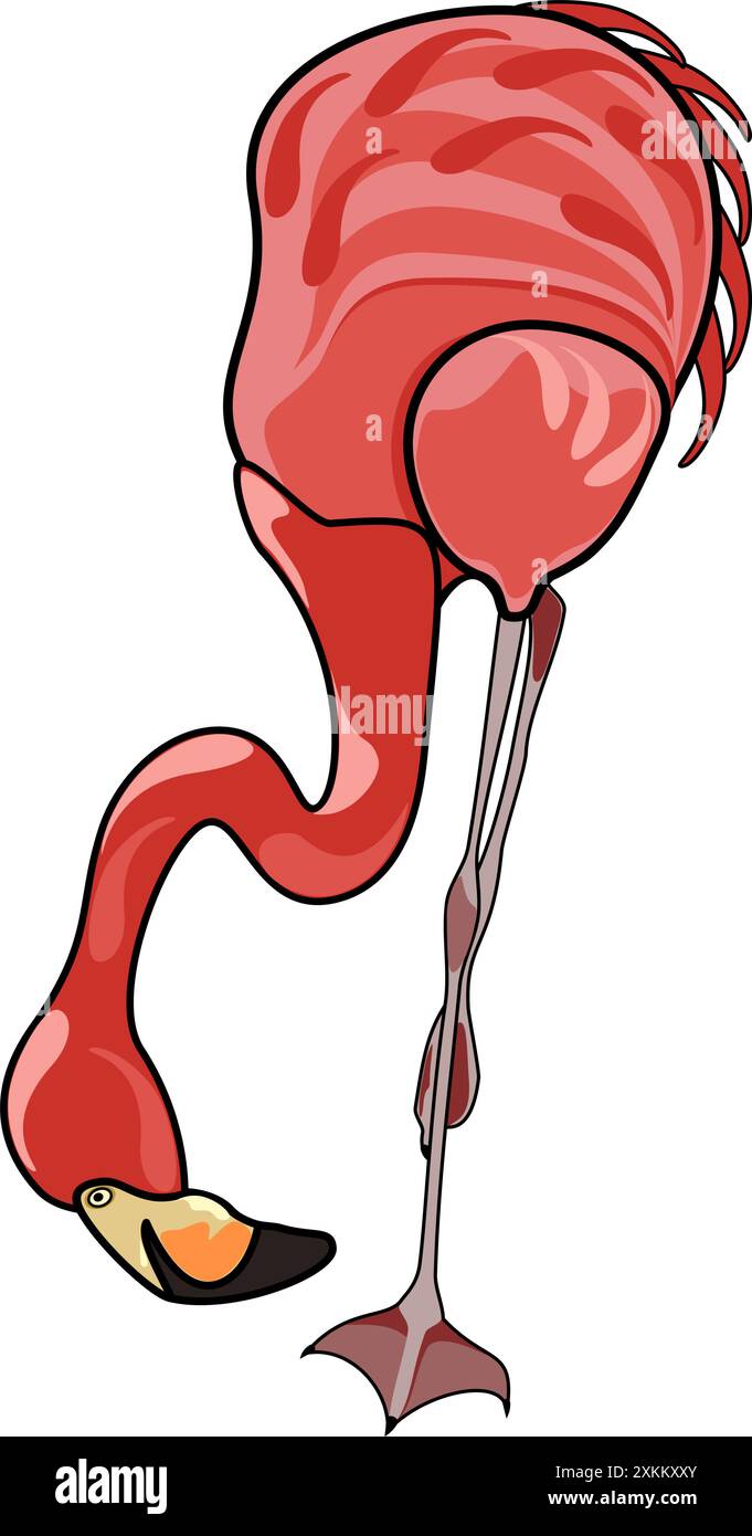 Oiseau rose Flamingo dans le style de bande dessinée, debout sur l'illustration vectorielle d'une jambe Illustration de Vecteur