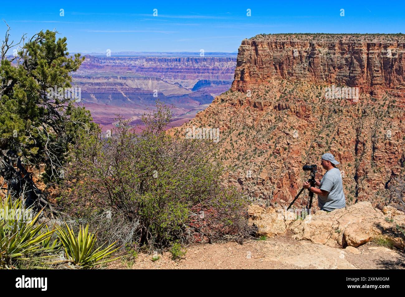 Photographe capturant une vue majestueuse depuis le bord sud du Grand Canyon — Arizona, avril 2024 Banque D'Images