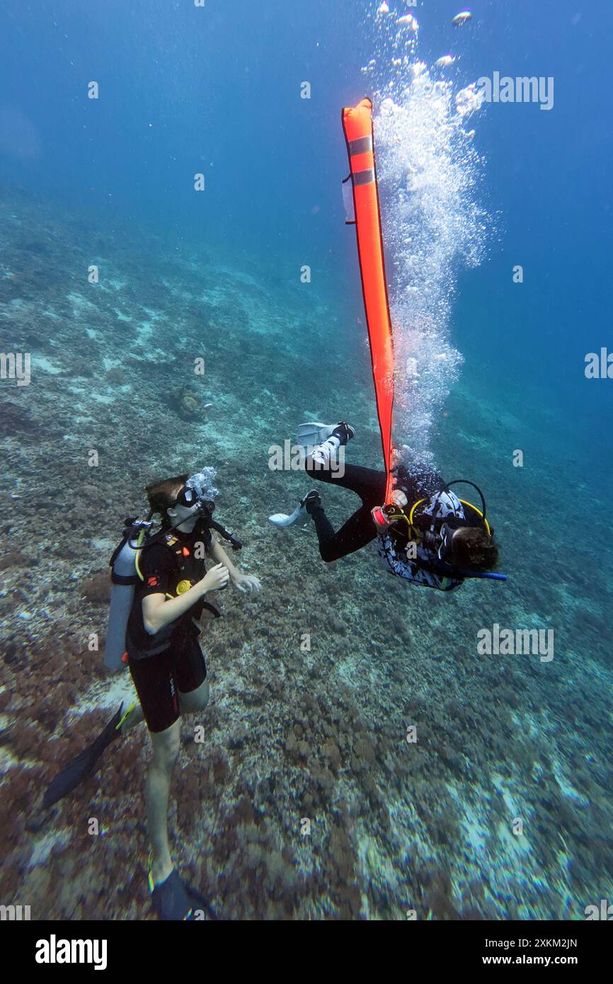 10.11.2023, Indonésie, Lombok, Gili Trawangan - hommes avec bouée de décompression pendant un cours de plongée dans la mer. 00S231110D398CAROEX.JPG [AUTORISATION DU MODÈLE : Banque D'Images
