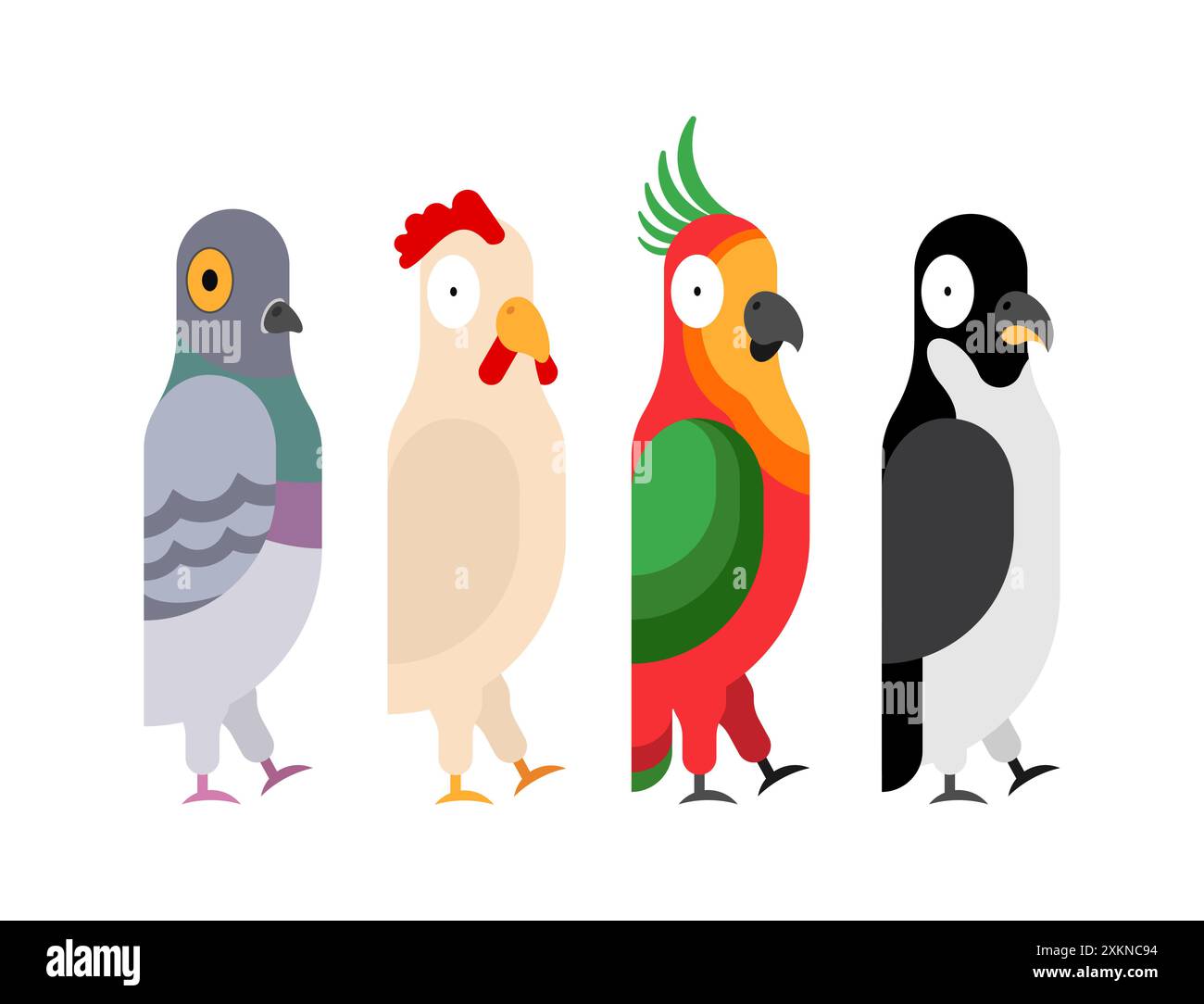Ensemble oiseau de dessin animé. Coq drôle et pingouin. Pigeon et perroquet Illustration de Vecteur