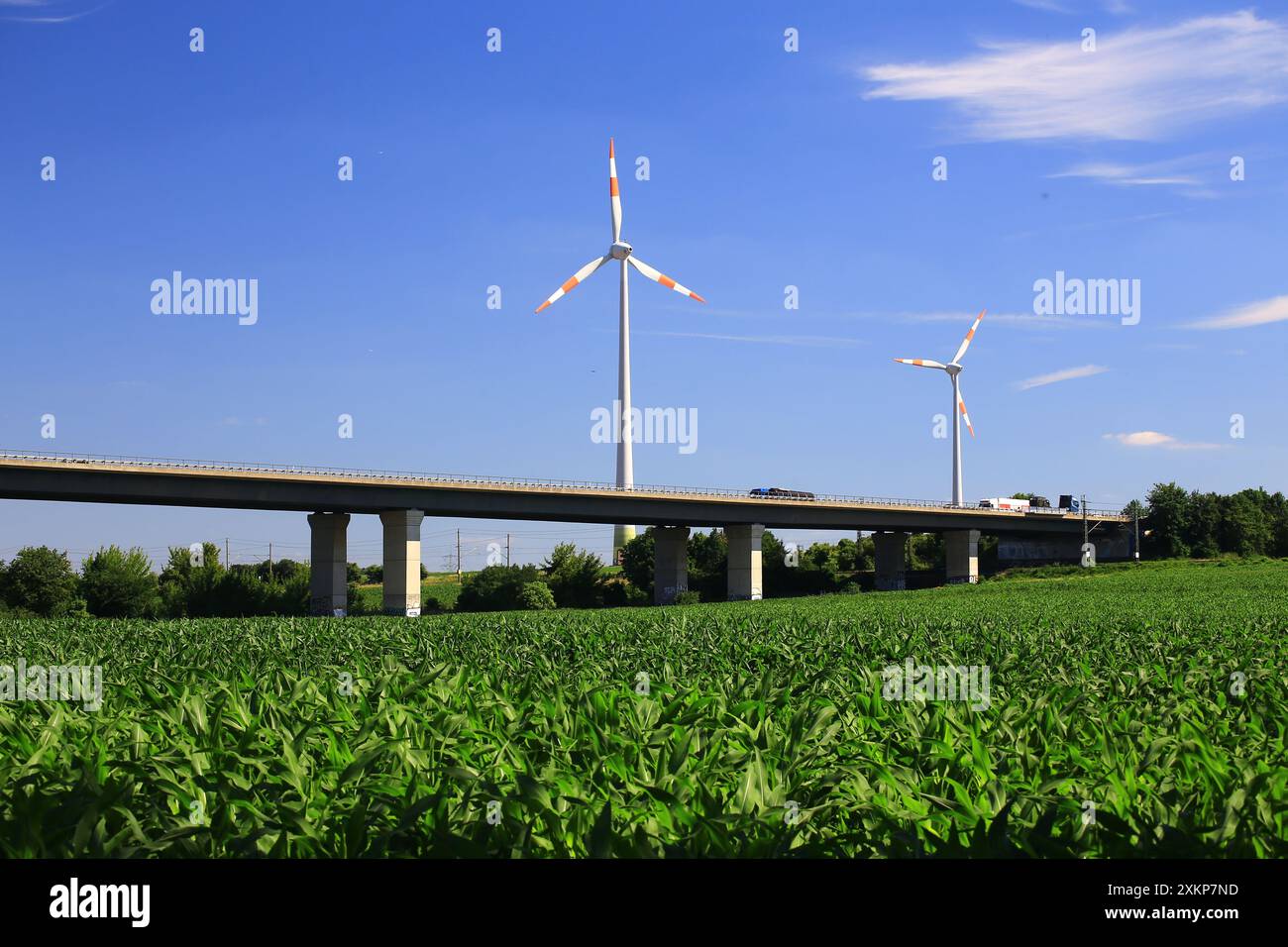 Éoliennes à côté du pont Autobahn allemand au-dessus du champ vert sous le ciel bleu clair. Banque D'Images