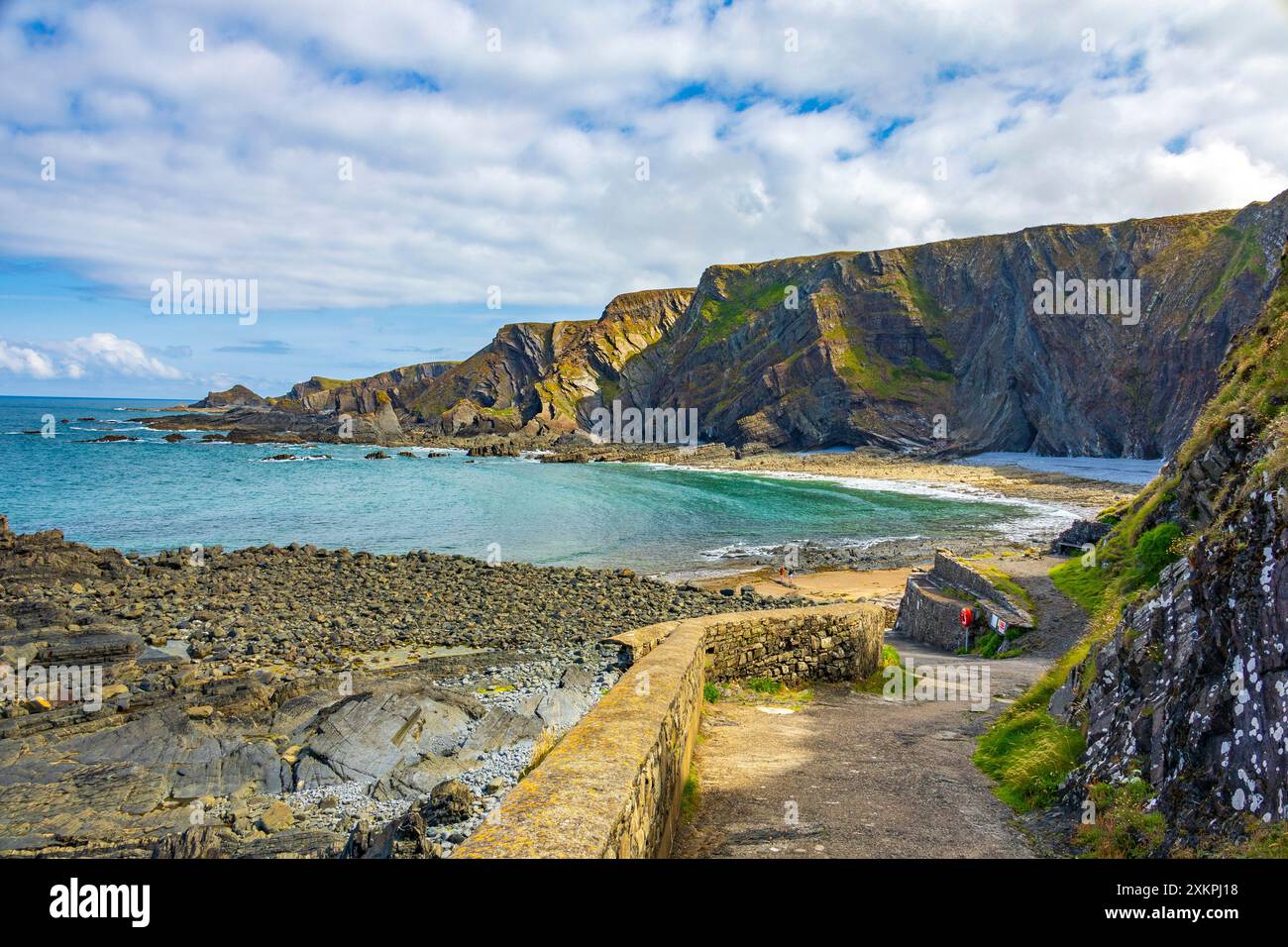 Les strates rocheuses pliées spectaculaires de mudstones et de grès à Hartland Quay sur le sentier de la côte sud-ouest, Devon, Angleterre, Royaume-Uni Banque D'Images