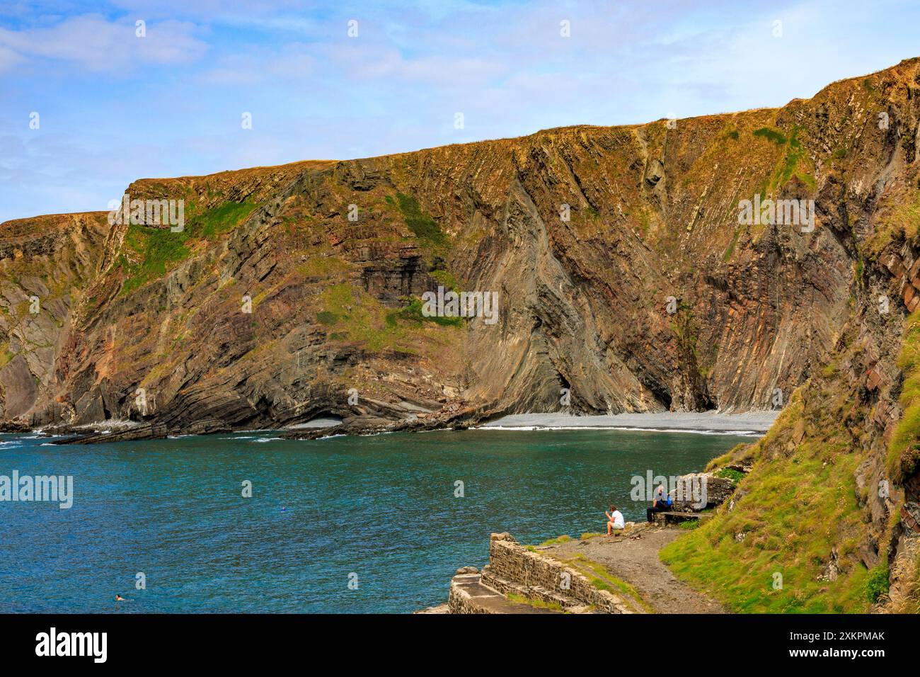 Les strates rocheuses pliées spectaculaires de mudstones et de grès à Hartland Quay sur le sentier de la côte sud-ouest, Devon, Angleterre, Royaume-Uni Banque D'Images