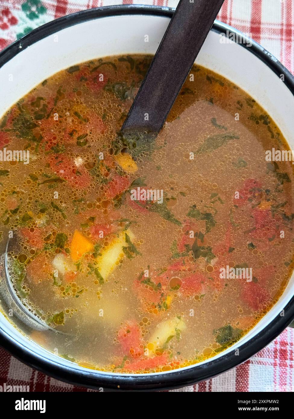 Soupe de légumes maison avec des herbes fraîches dans un bol blanc rustique sur une nappe à carreaux. Cuisine hongroise. Banque D'Images