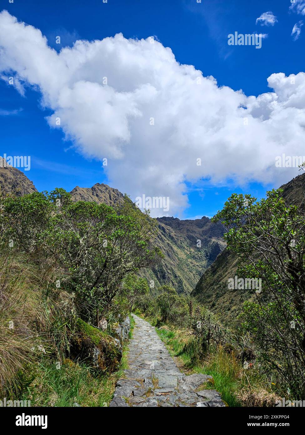 Chemin de pierre du sentier Inka, Cusco, Pérou Banque D'Images