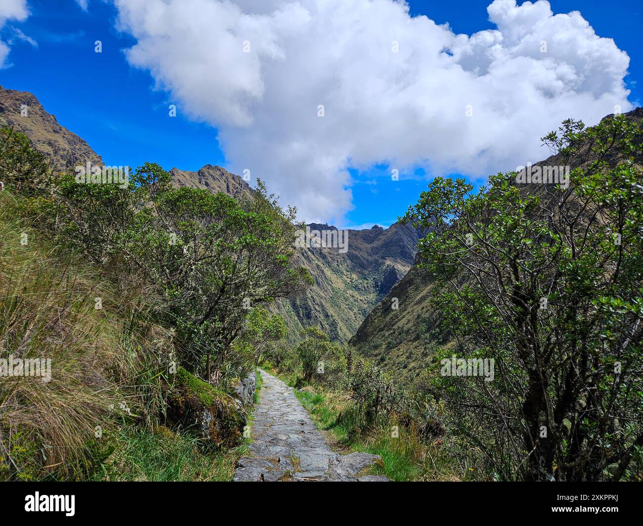 Chemin de pierre du sentier Inka, Cusco, Pérou Banque D'Images