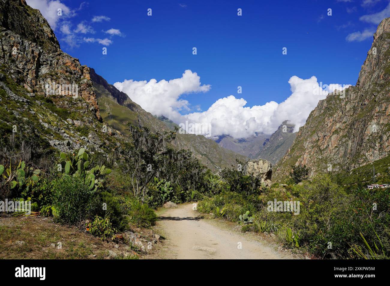 Rivière Urubamba, Inka Trail, Cusco, Pérou Banque D'Images