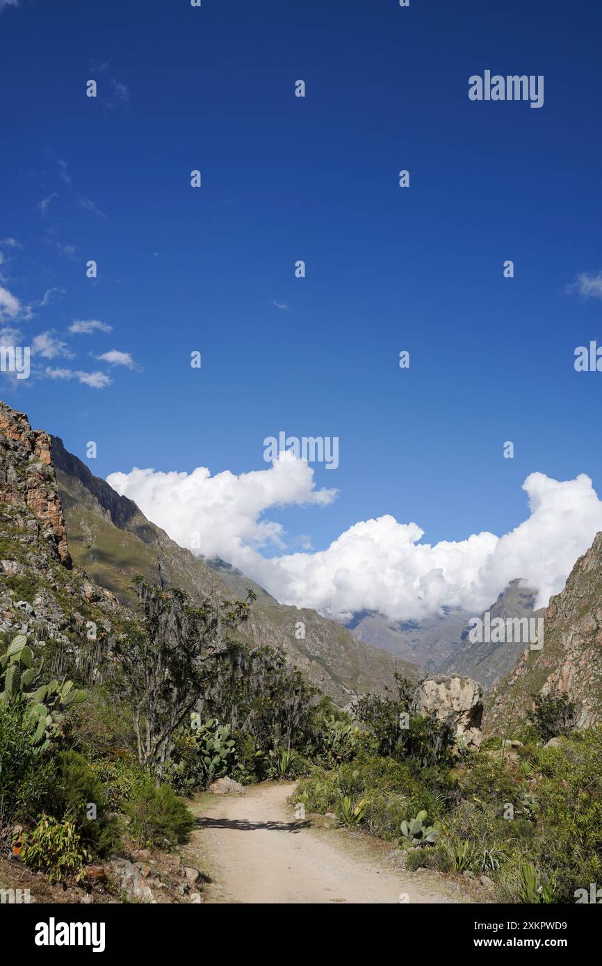 Inka Trail, Cusco, Pérou Banque D'Images