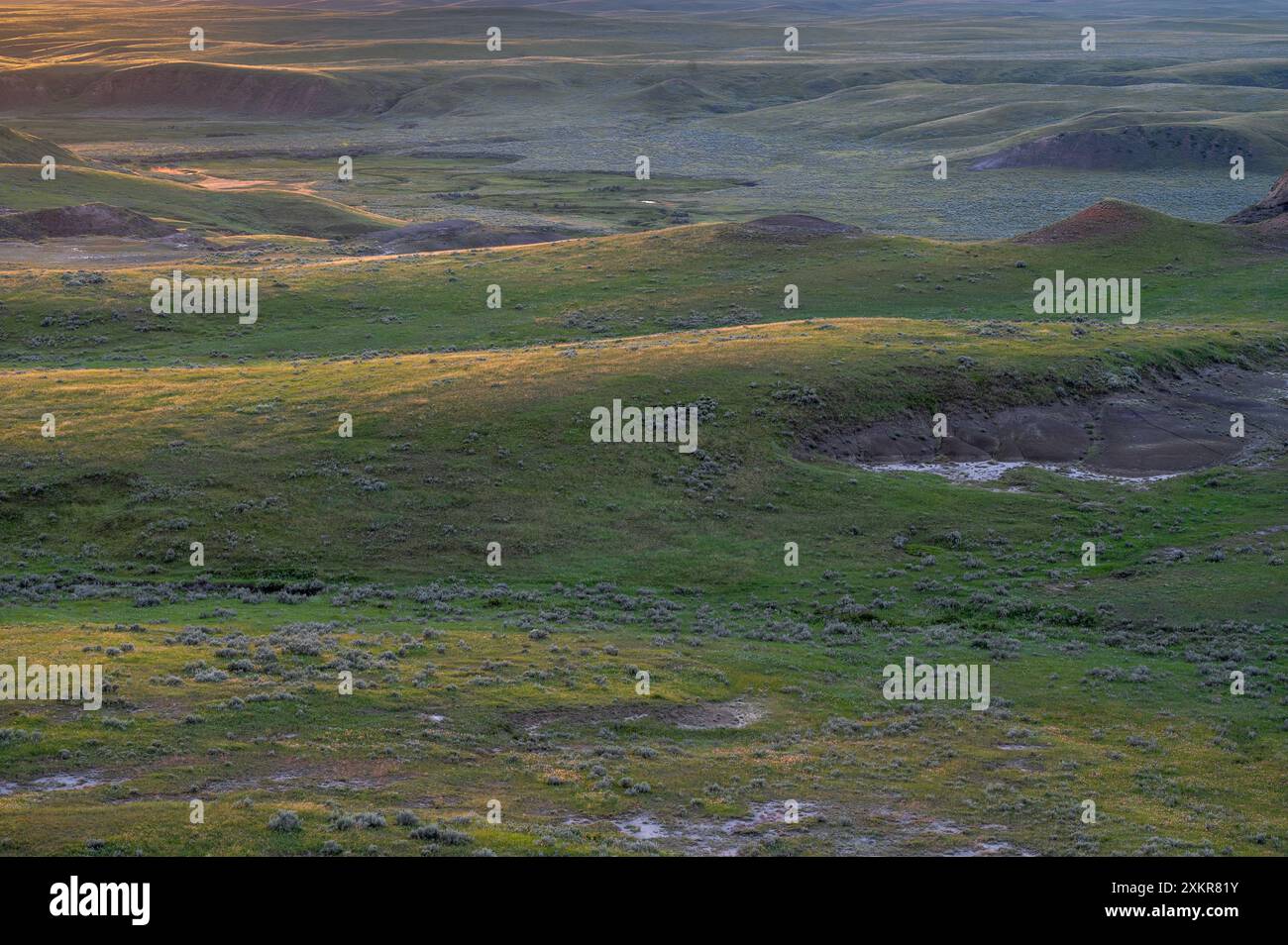 Coucher de soleil sur les collines dans la vallée des 1000 Devils. Coucher de soleil sur les collines de la Valley of 1000 Devils dans le parc national des Prairies, Saskatchewan Banque D'Images