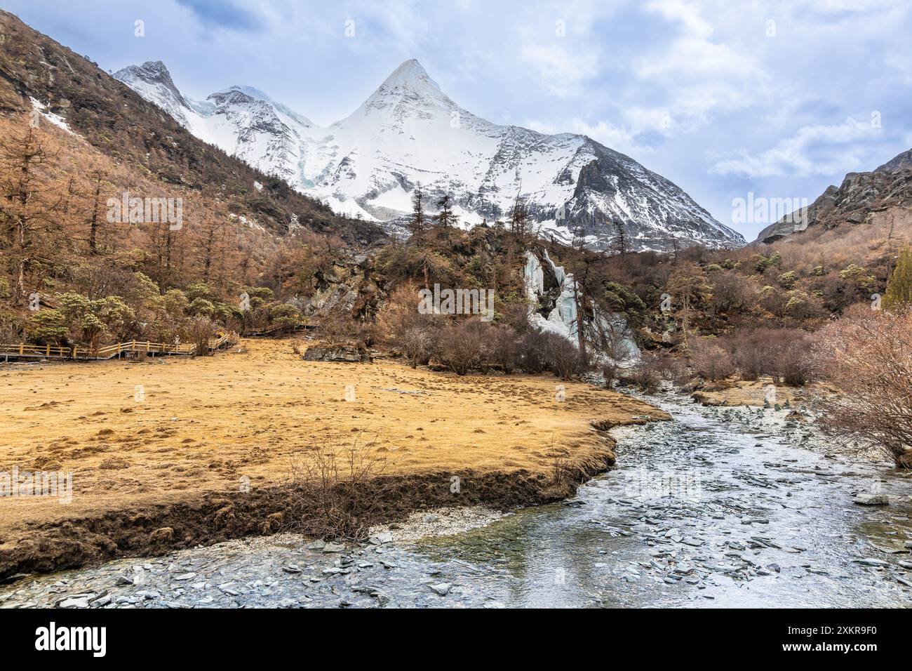 Vue panaromique de la réserve naturelle pittoresque et à couper le souffle de Yading luorong pâturage avec le mont Yangmaiyong en arrière-plan, situé dans Garze Tibétain Banque D'Images