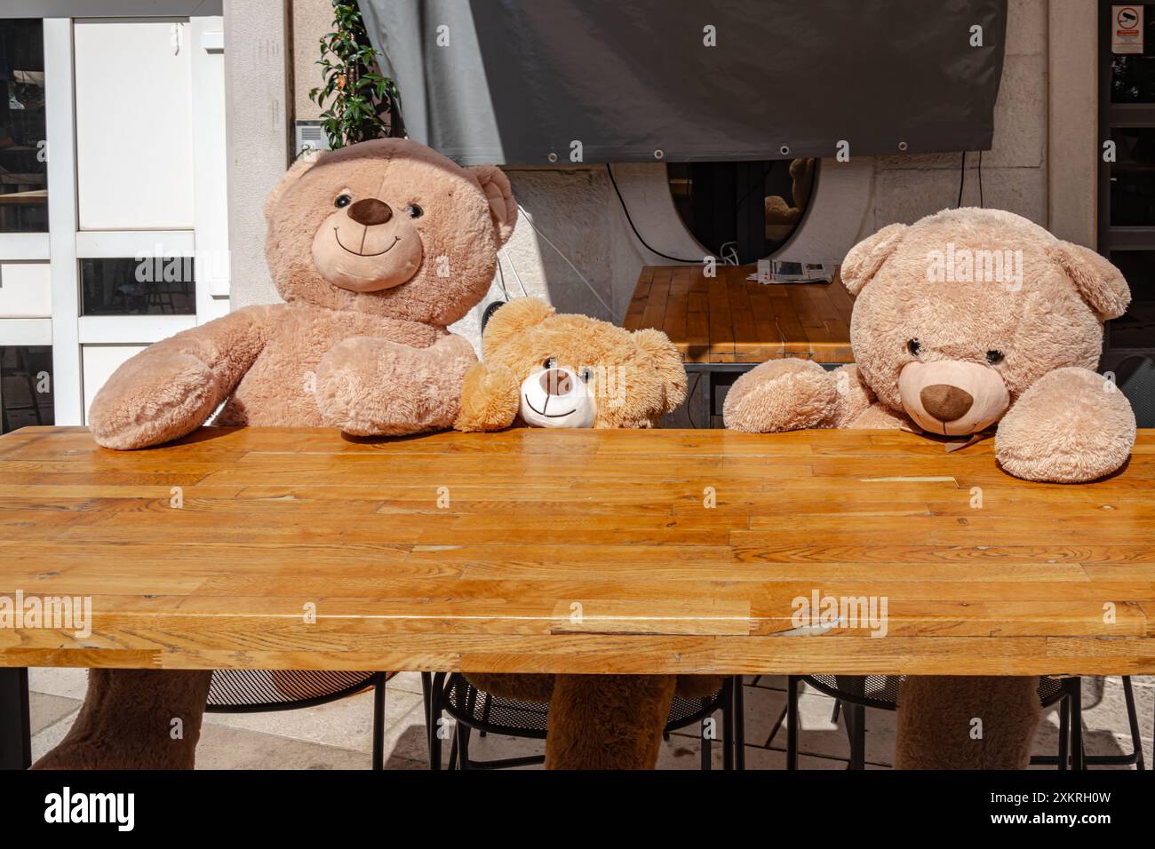 Ours en peluche au café-bar Banque D'Images