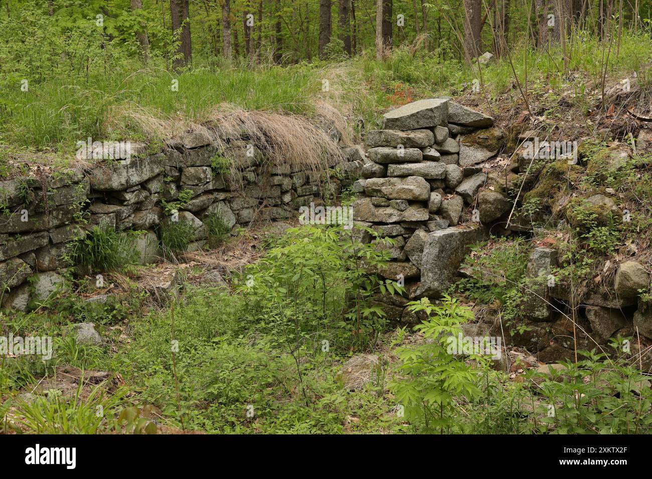 Niché entre le chemin Bennett et la rivière Lamproy, cet établissement est un magnifique réseau de sentiers boisés qui mènent à la rivière Lamproy. 3 acres plus t Banque D'Images