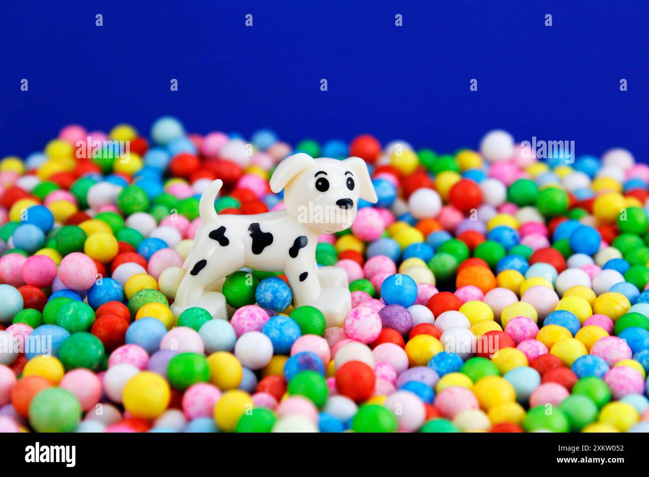 Chien jouant avec des sphères colorées Banque D'Images