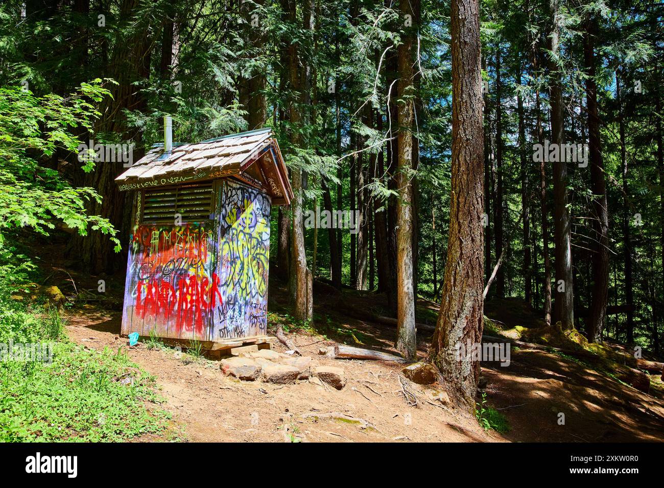 Graffiti couvert structure en bois dans dense Forest Eye Level Banque D'Images