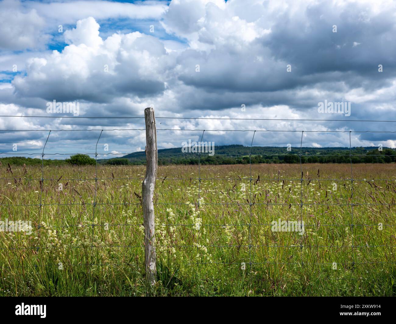 Clôture et poteau dans le champ de pâturage avec des fleurs d'été. Nuages de tonnerre dans le ciel, pas de gens visibles Banque D'Images