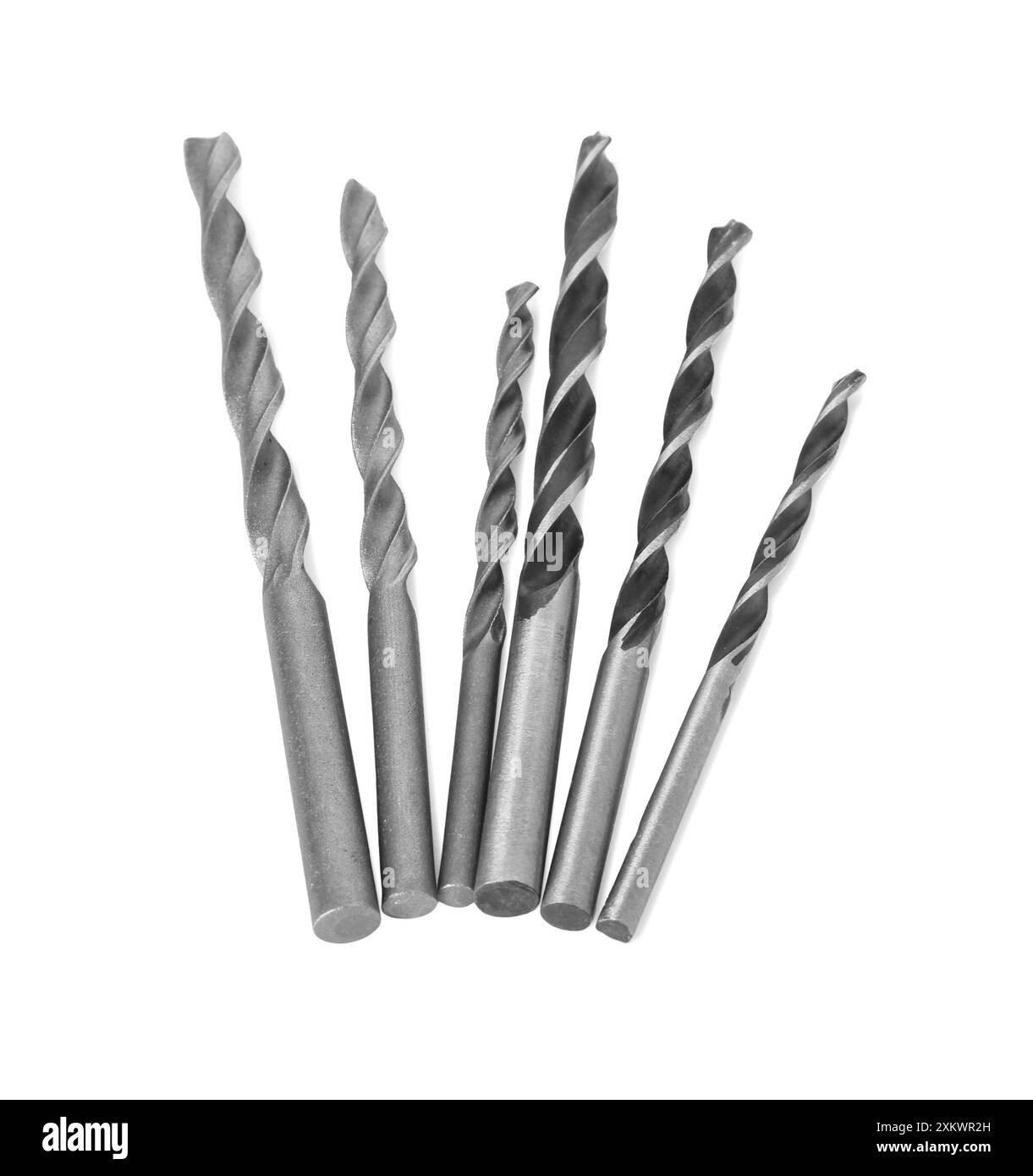 Beaucoup de forets différents isolés sur blanc Banque D'Images