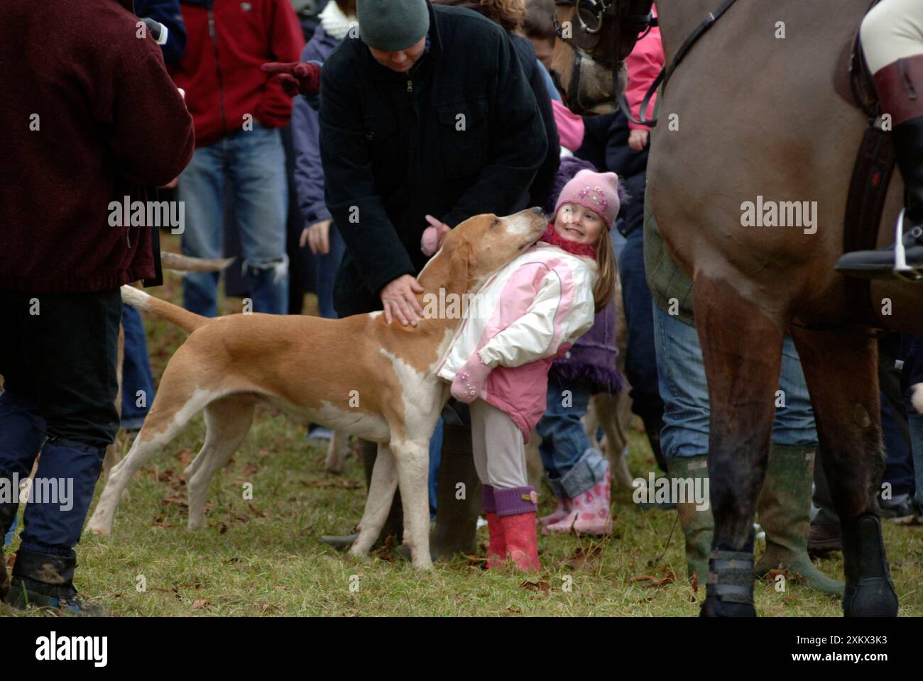 Chasse - chien appuyé sur fille - Bicester et Whaddon Banque D'Images