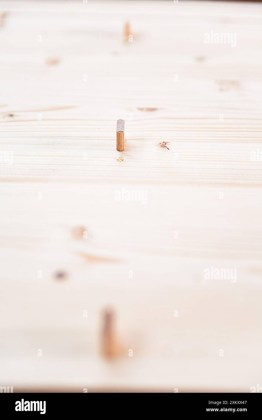 Gros plan de chevilles en bois joignant des planches de bois dans un atelier de menuiserie. La faible profondeur de champ souligne la texture du bois Banque D'Images
