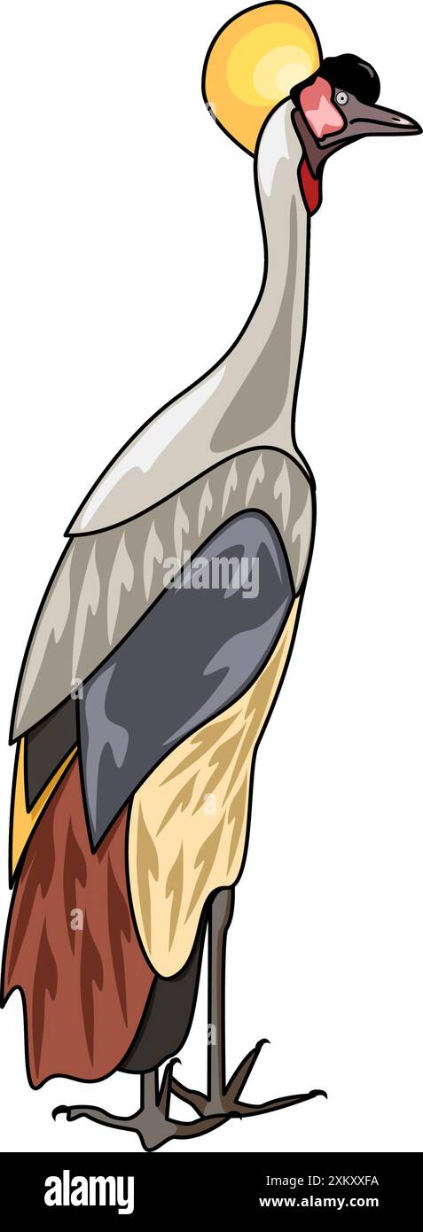 Illustration vectorielle d'oiseau de grue couronné gris Illustration de Vecteur
