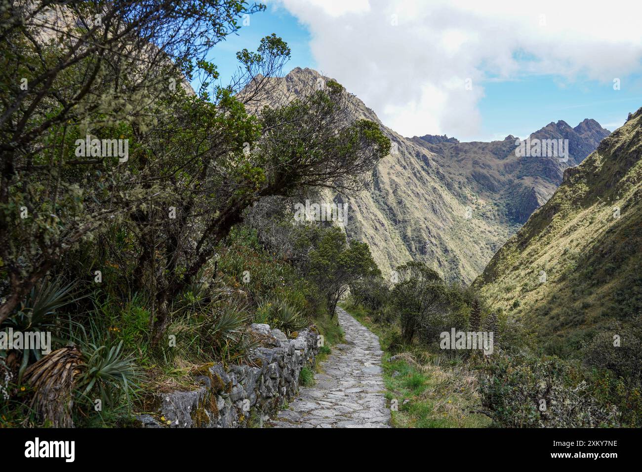 Inka Trail, Cusco, Pérou Banque D'Images