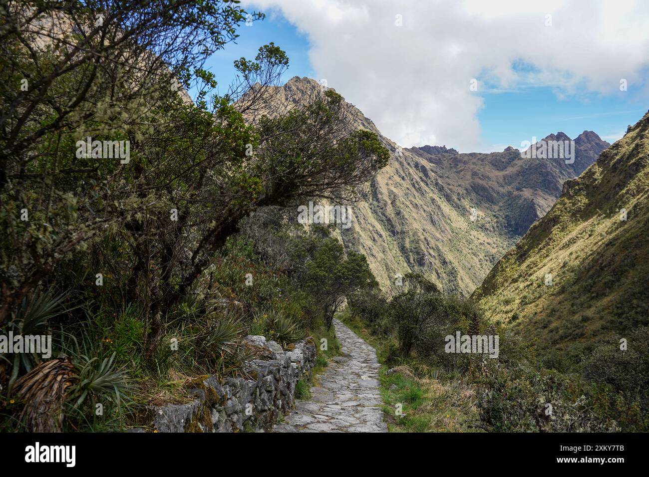 Inka Trail, Cusco, Pérou Banque D'Images
