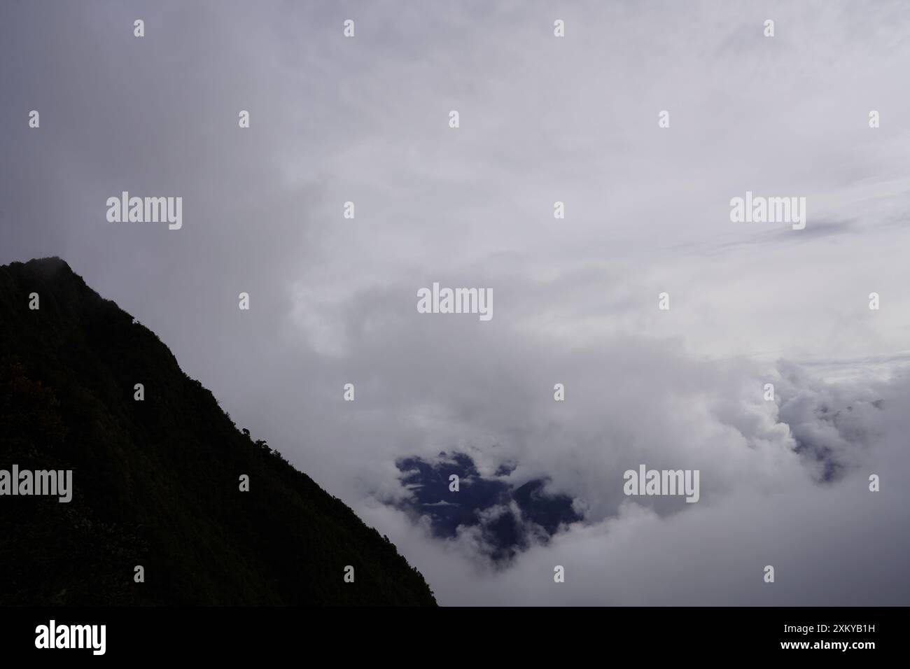 Forêt des nuages, Inka Trail, Cusco, Pérou Banque D'Images