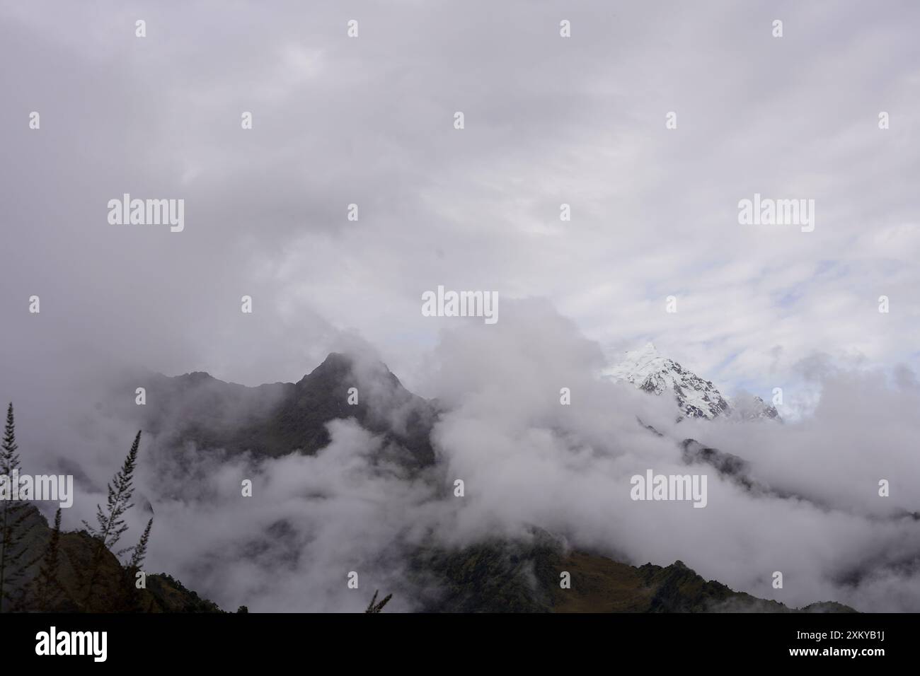 Forêt des nuages, Inka Trail, Cusco, Pérou Banque D'Images