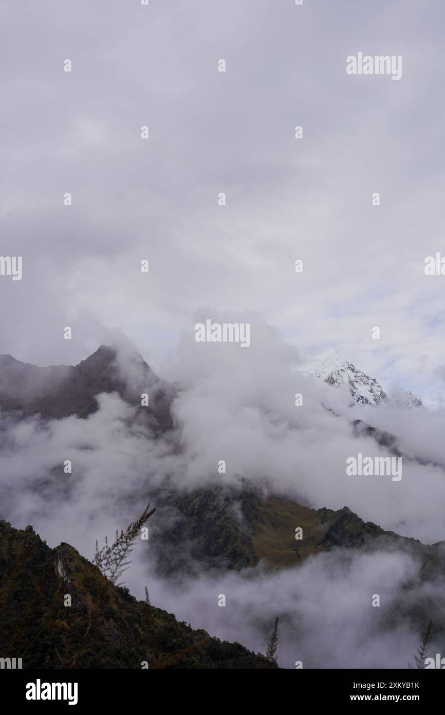 Forêt des nuages, Inka Trail, Cusco, Pérou Banque D'Images