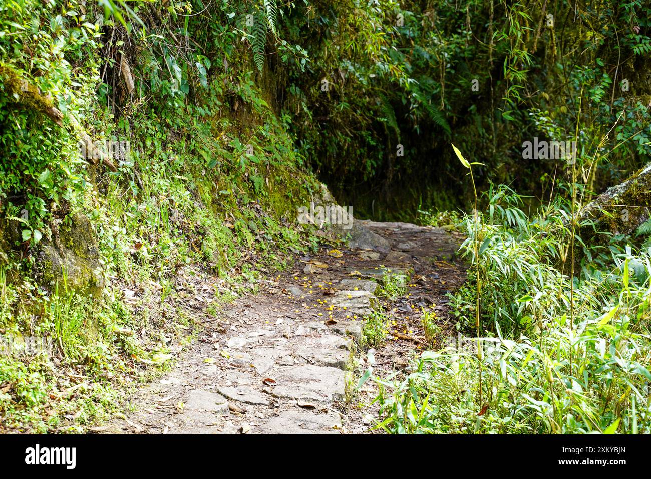 Chemin de pierre du sentier Inka, Cusco, Pérou Banque D'Images