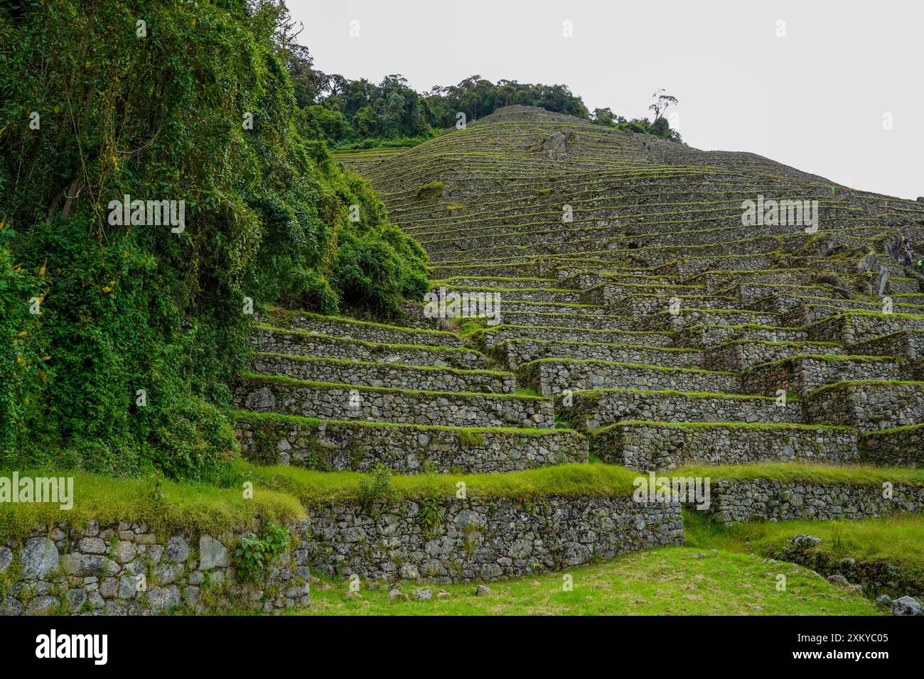 Site archéologique d'Intipata, Inka Trail, Cusco, Pérou Banque D'Images