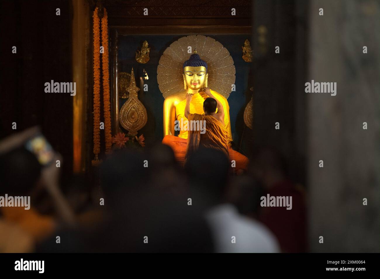 Un moine en service couvrant la statue du Bouddha d'or avec une nouvelle robe à l'intérieur du temple de chambre du temple de Mahabodhi à Bodh Gaya, Bihar, Inde. Banque D'Images