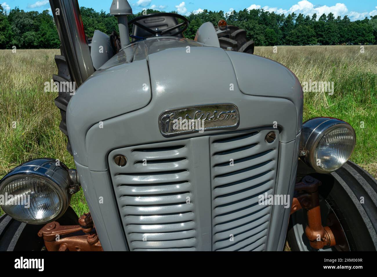 Histori Massey Ferguson FE 35 tracteur, cylindrée , 2502, bhp, 35, année de construction, 1956-1960 Banque D'Images