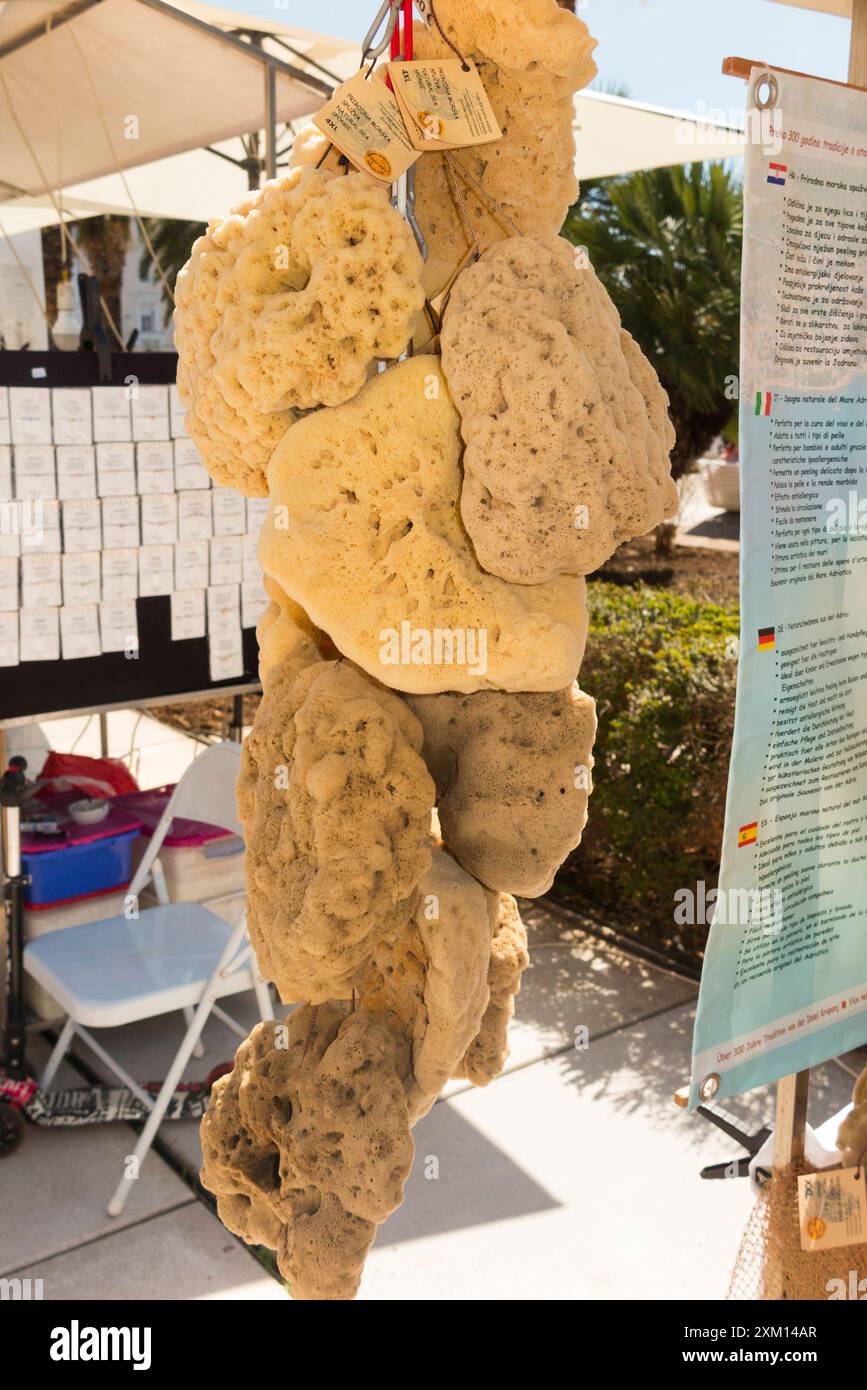 Étal de marché d'éponges de mer / étals vendant des éponges de mer locales aux touristes sur l'affichage sur la promenade suivant Splitska Riva Split, Croatie. Été. (138) Banque D'Images