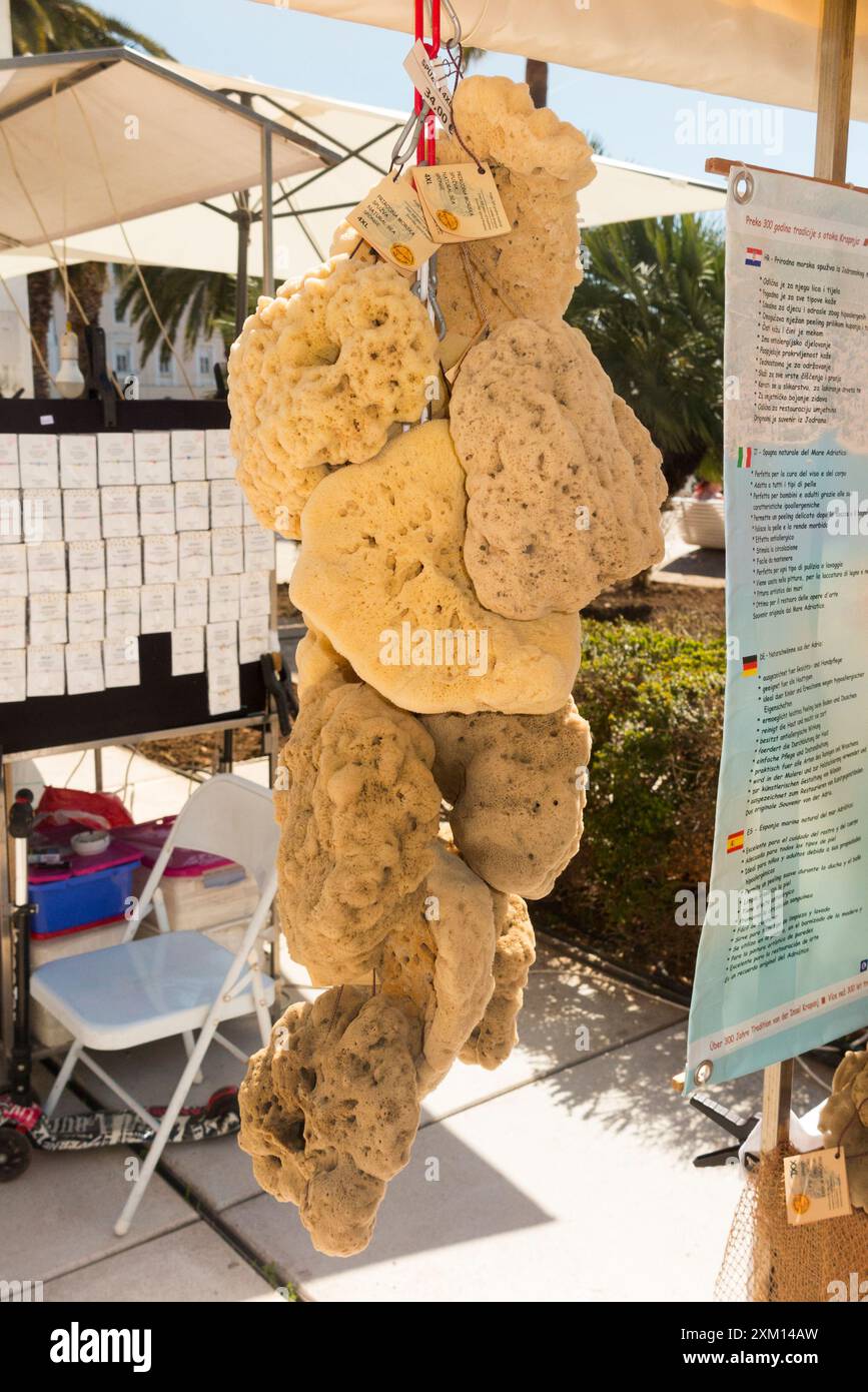 Étal de marché d'éponges de mer / étals vendant des éponges de mer locales aux touristes sur l'affichage sur la promenade suivant Splitska Riva Split, Croatie. Été. (138) Banque D'Images