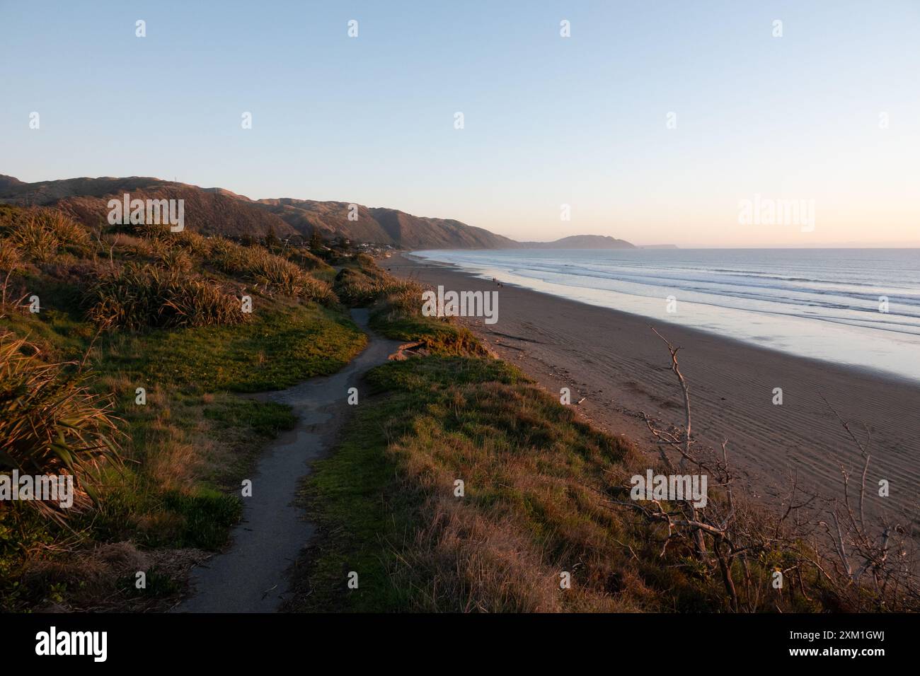 Vue sur le parc Queen Elizabeth regardant vers le sud vers Paekakariki et Pukerua Bay à Kapiti, Nouvelle-Zélande Banque D'Images