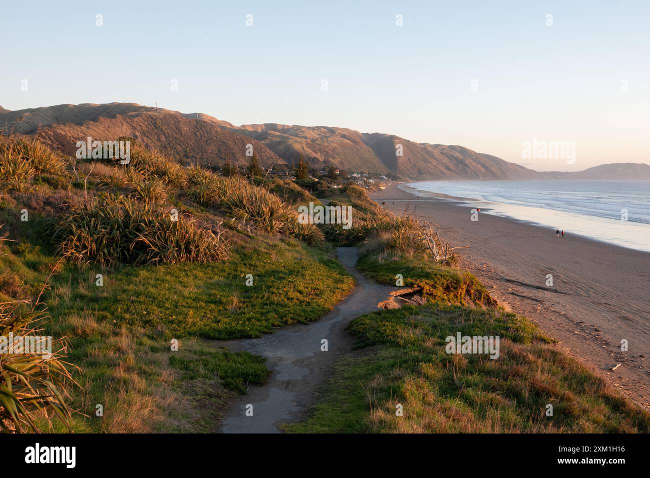 Vue sur le parc Queen Elizabeth regardant vers le sud vers Paekakariki et Pukerua Bay à Kapiti, Nouvelle-Zélande Banque D'Images